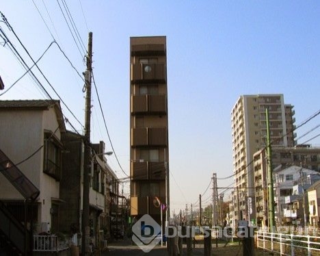 Japonya'nın kalabalık nüfusuna çözüm