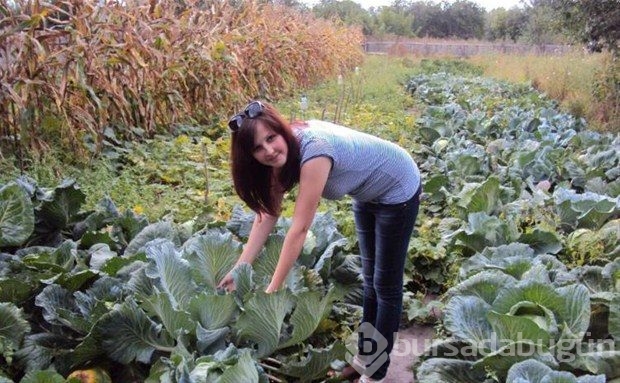 Photoshop ustaları