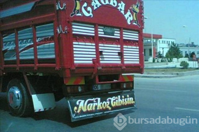 Yurdum insanı