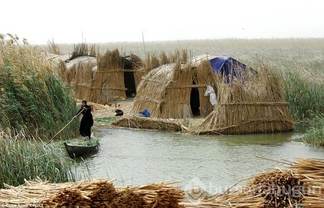 Dünyayı sallayan kareler