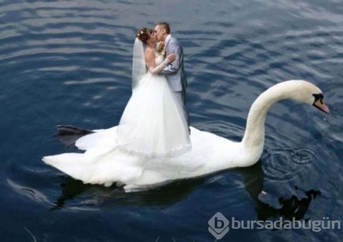 Evlilikten soğutan düğün fotoğrafları