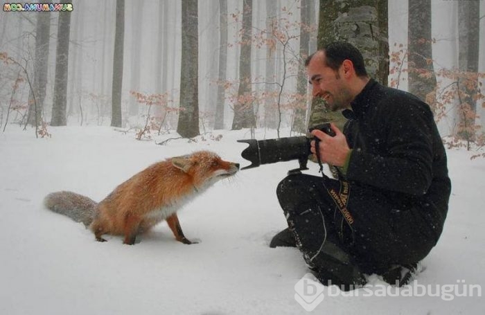 Pazartesi sendromuna ilaç gibi gelecek fotoğraflar