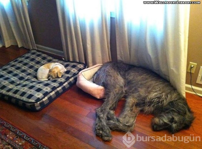 Pazartesi sendromuna ilaç gibi gelecek fotoğraflar