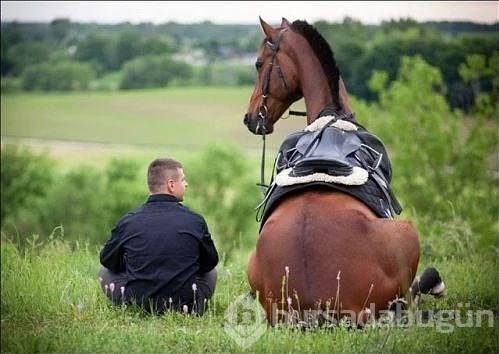 Pazartesi sendromuna ilaç gibi gelecek fotoğraflar