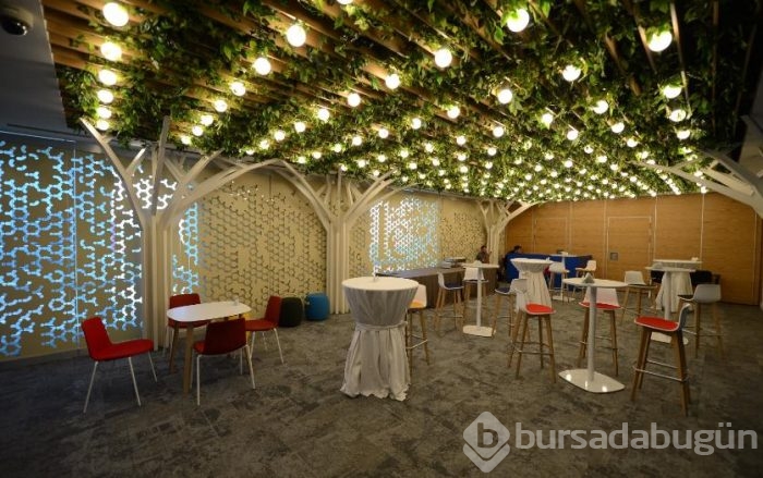 Google Silikon Vadisi ortamını İstanbul'a taşıdı