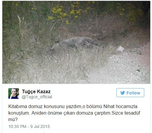 Öldürdüğünü paylaştı