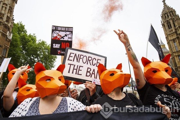 İngiltere'de ilginç protesto