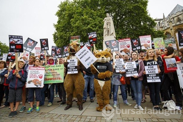 İngiltere'de ilginç protesto