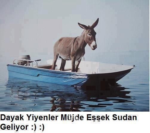 Beyin yakan sosyal medya paylaşımları