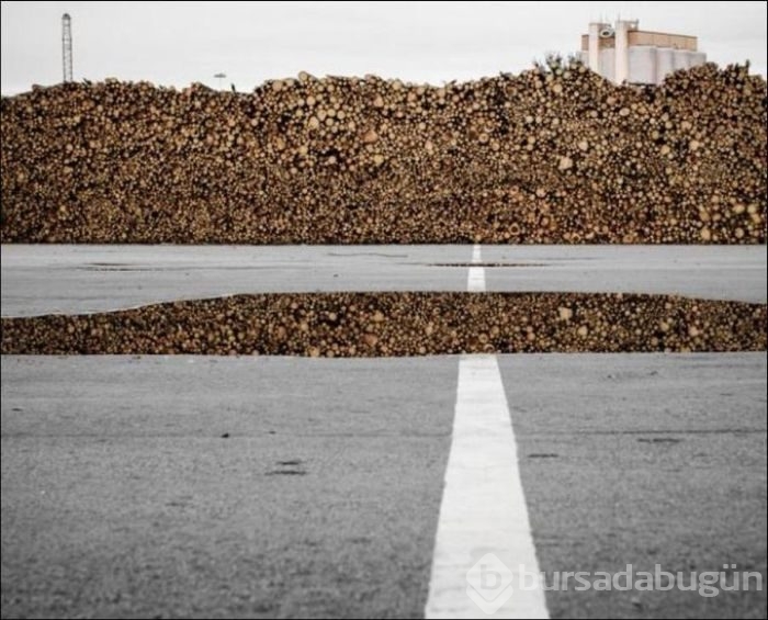 Bu karelerde Photoshop yok