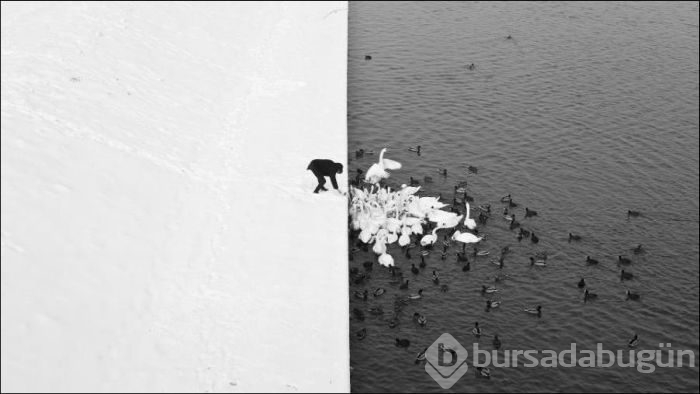 Bu karelerde Photoshop yok