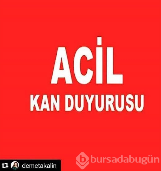 Ünlülerden Suruç tepkisi