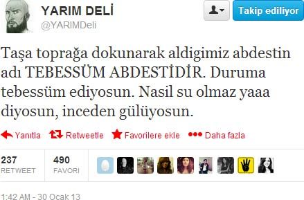 Yarım deli