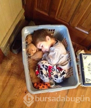Dünyanın en masum fotoğrafları