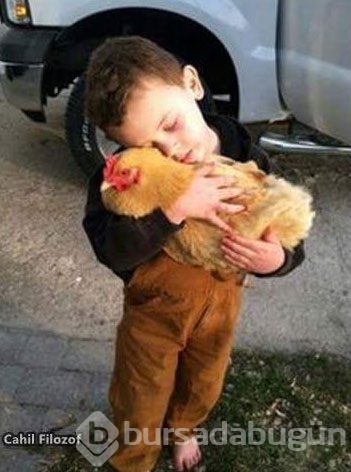 Dünyanın en masum fotoğrafları