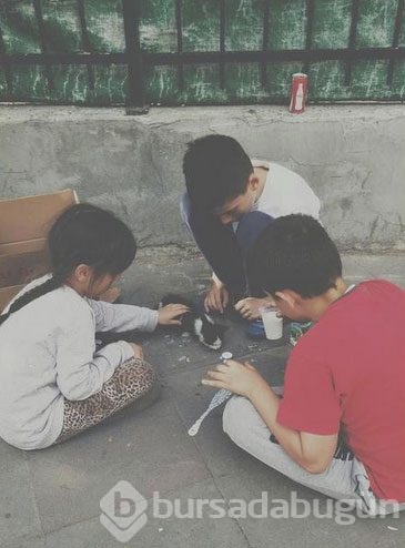 Dünyanın en masum fotoğrafları