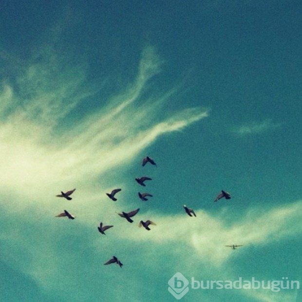 İşini bıraktı, Instagram fotoğrafçısı oldu