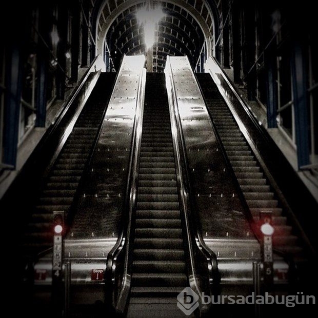 İşini bıraktı, Instagram fotoğrafçısı oldu