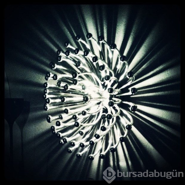 İşini bıraktı, Instagram fotoğrafçısı oldu