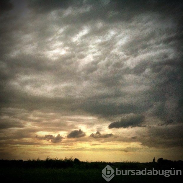 İşini bıraktı, Instagram fotoğrafçısı oldu