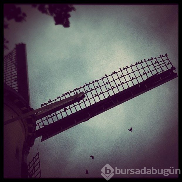 İşini bıraktı, Instagram fotoğrafçısı oldu