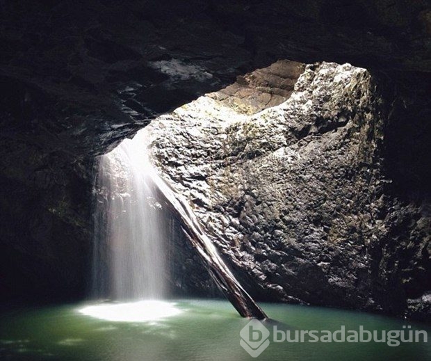 İşini bıraktı, Instagram fotoğrafçısı oldu