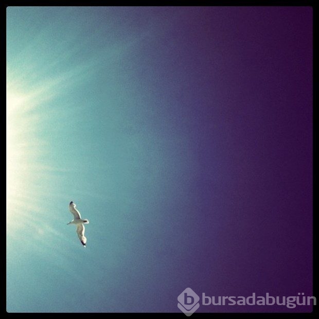 İşini bıraktı, Instagram fotoğrafçısı oldu