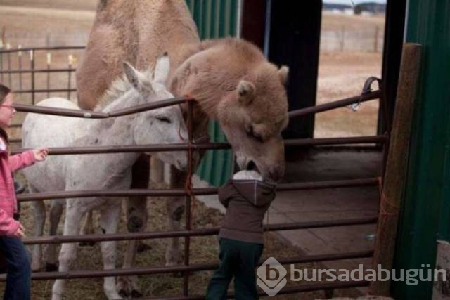 1 saniye sonrasını merak edeceğiniz 50 fotoğraf