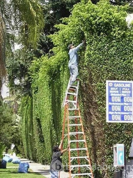 1 saniye sonrasını merak edeceğiniz 50 fotoğraf