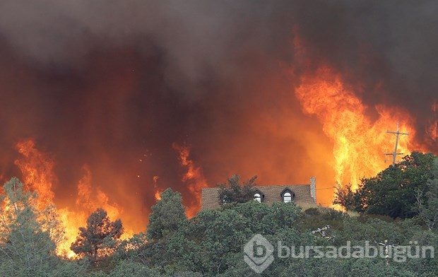 Kaliforniya'da orman yangını