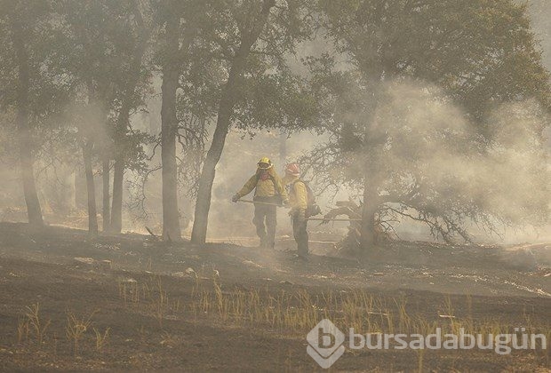 Kaliforniya'da orman yangını