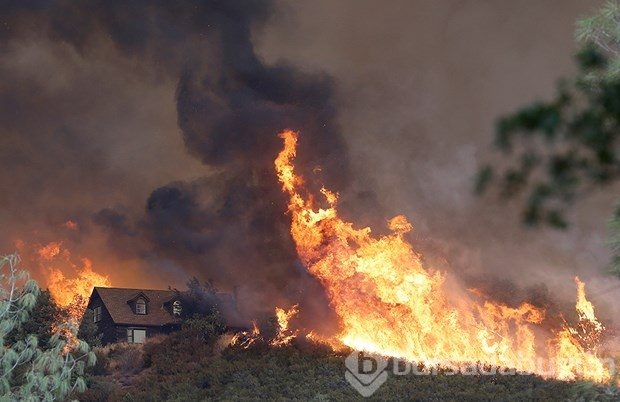 Kaliforniya'da orman yangını
