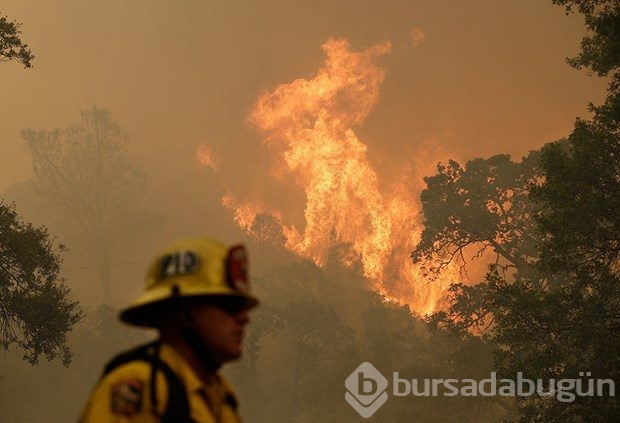 Kaliforniya'da orman yangını