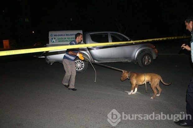 Konya'da çalıntı otomobilin bagajından pitbull çıktı