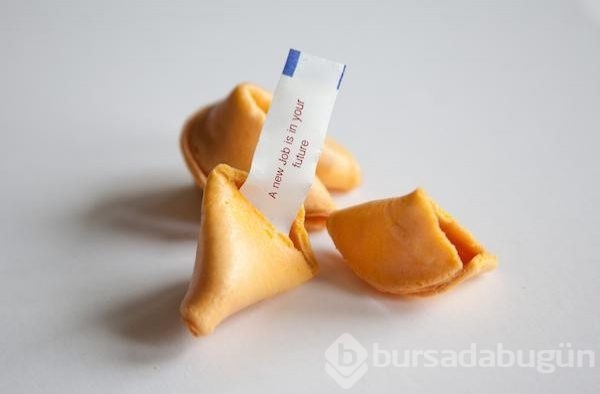 Böyle meslek olur mu