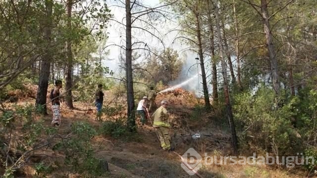 Mersin'de kızılçam ormanında yangın