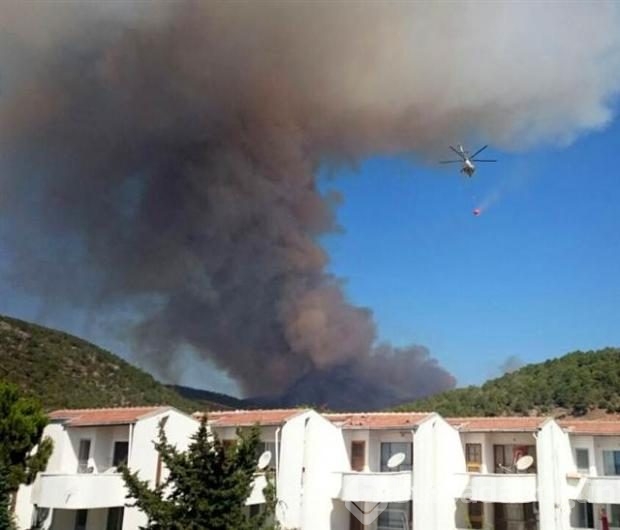 Mersin'de kızılçam ormanında yangın