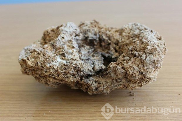 Hoşap Kalesi'nde 250 yıllık "küp peyniri" bulundu