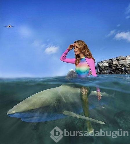 Bu fotoğraf rezil etti