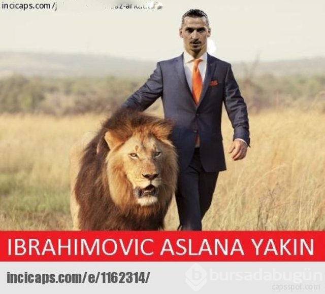 Shakhtar Donetsk-Fenerbahçe capsleri
