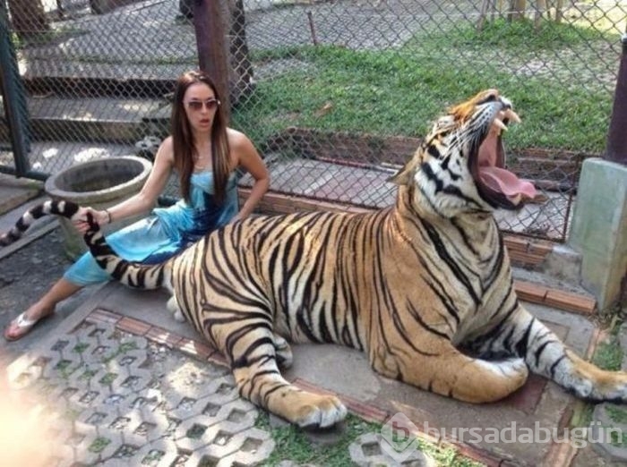 Her gün karşılaşamayacağınız fotoğraflar