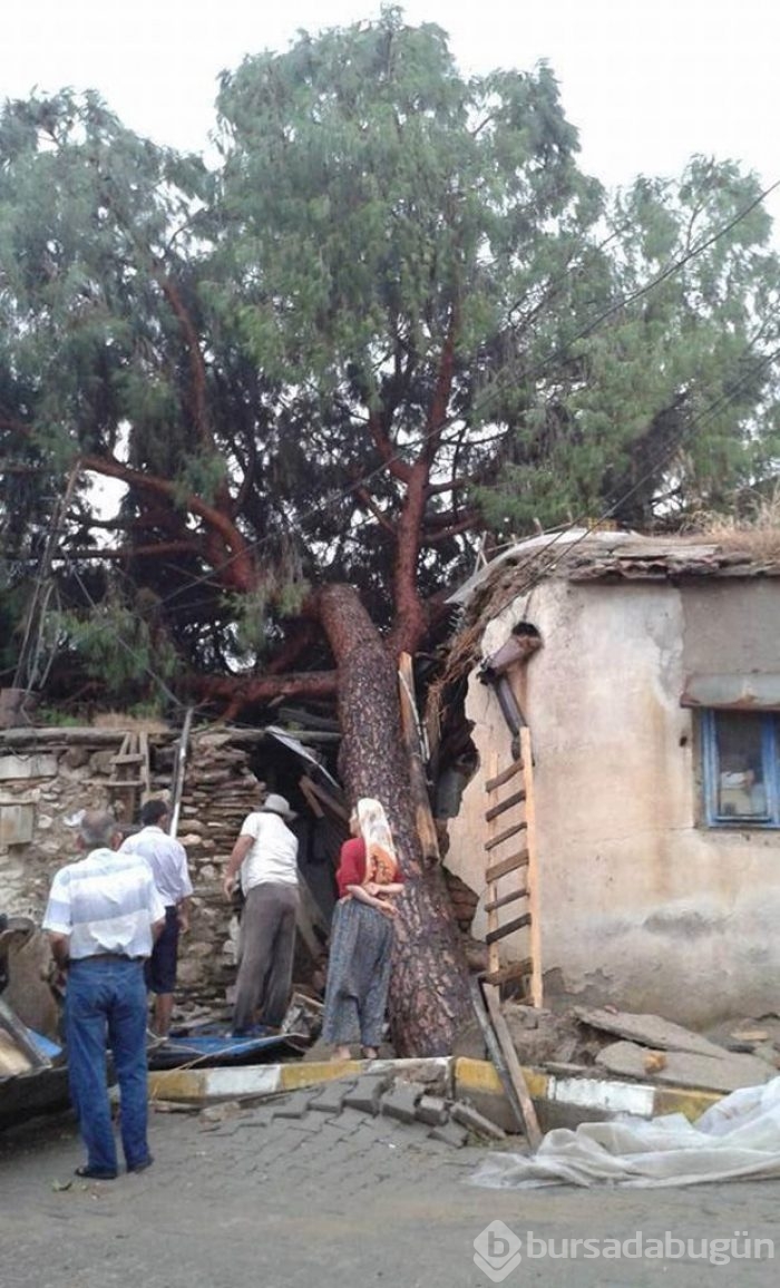 Türkiye'nin batısında yağmur ve fırtına