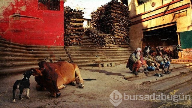 Ölmeye gelinen şehir