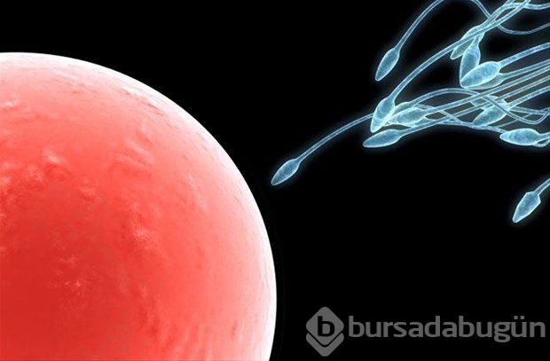 Bunları biliyor musunuz?