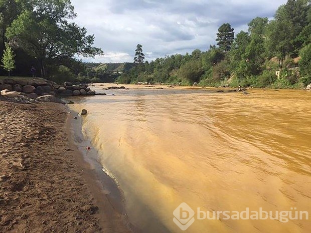 ABD'de Animas nehri 160 kilometre zehir akıtıyor