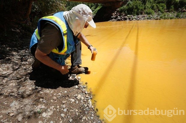ABD'de Animas nehri 160 kilometre zehir akıtıyor