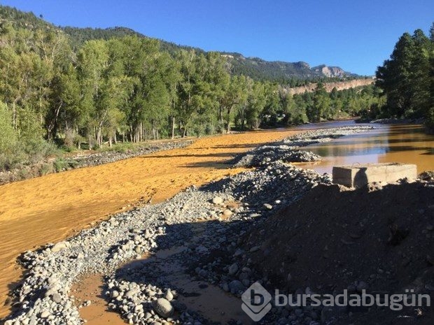 ABD'de Animas nehri 160 kilometre zehir akıtıyor