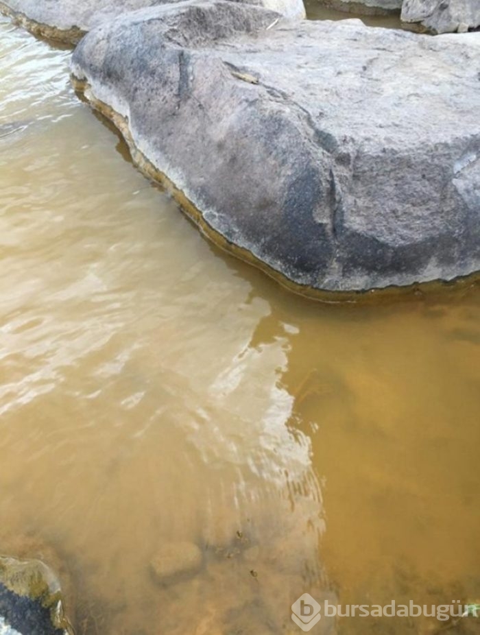 ABD'de Animas nehri 160 kilometre zehir akıtıyor