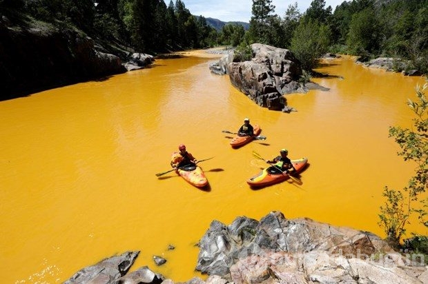 ABD'de Animas nehri 160 kilometre zehir akıtıyor