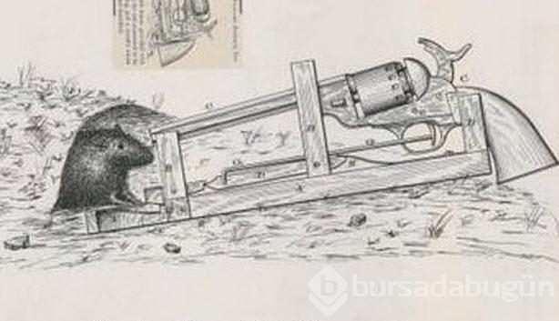 Dünyanın en tuhaf 'şey'leri